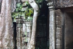 IMG_3049_ergebnis