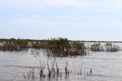 IMG_3233_ergebnis