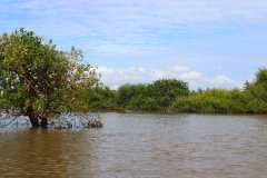 IMG_3338_ergebnis