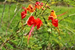 IMG_3364_ergebnis