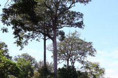 IMG_3367_ergebnis