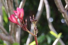 IMG_4097_ergebnis