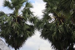 IMG_4120_ergebnis