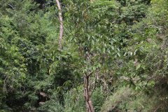 IMG_4140_ergebnis