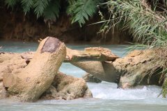 IMG_4142_ergebnis