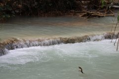 IMG_4153_ergebnis
