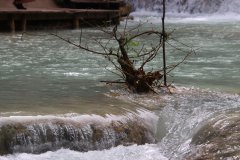 IMG_4158_ergebnis