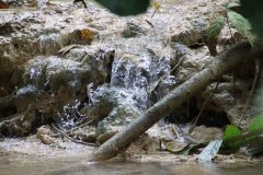 IMG_4171_ergebnis