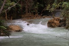 IMG_4176_ergebnis