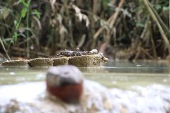 IMG_4193_ergebnis