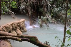 IMG_4196_ergebnis