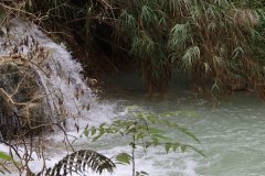 IMG_4198_ergebnis