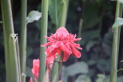 IMG_4229_ergebnis