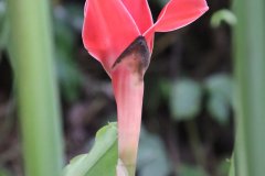 IMG_4231_ergebnis