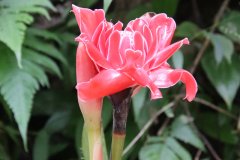 IMG_4233_ergebnis