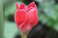 IMG_4234_ergebnis