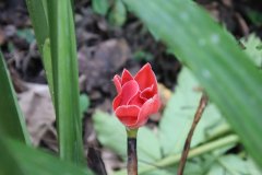IMG_4235_ergebnis
