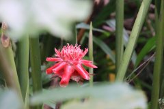 IMG_4236_ergebnis