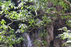 IMG_4239_ergebnis