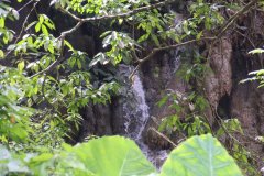 IMG_4240_ergebnis