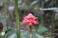 IMG_4241_ergebnis