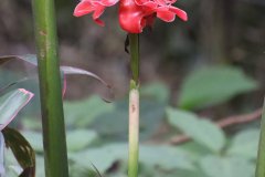 IMG_4243_ergebnis