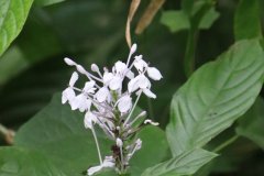 IMG_4244_ergebnis