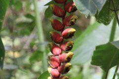 IMG_4245_ergebnis