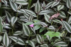 IMG_4247_ergebnis