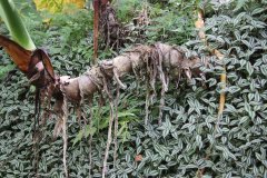 IMG_4248_ergebnis