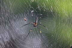 IMG_4249_ergebnis