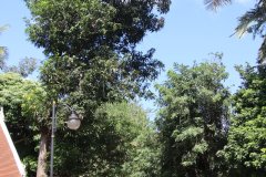 IMG_4267_ergebnis