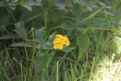IMG_4285_ergebnis