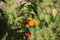IMG_4286_ergebnis