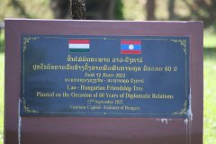 IMG_4298_ergebnis