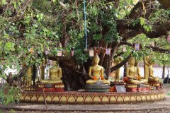 IMG_4348_ergebnis