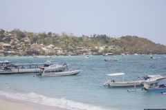 BNL_0361