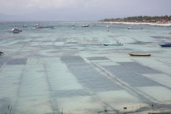 BNL_0379