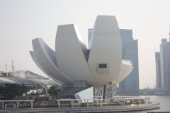 SP_0029