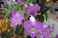 SP_0047