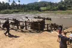 SL_0180