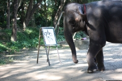 TL_0203
