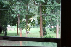 TL_0261