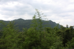 TL_0273