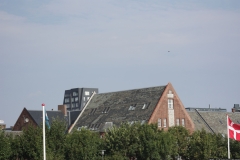 MG_0024_