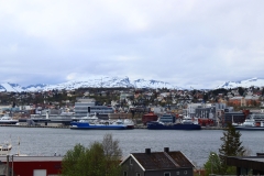 IMG_2201_