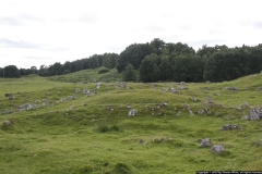 SLWSD_0031
